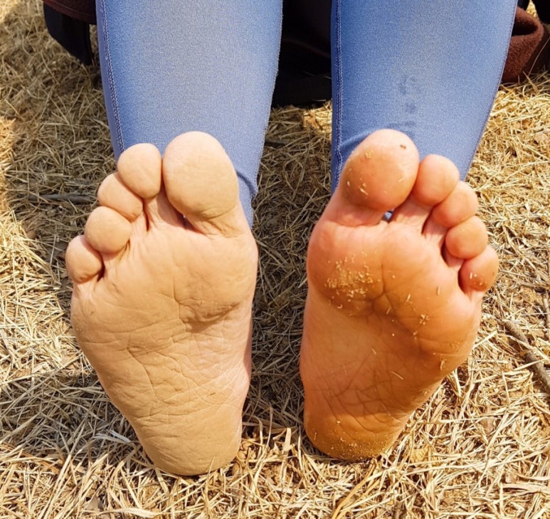 투썸플레이스관양현대점 이미지