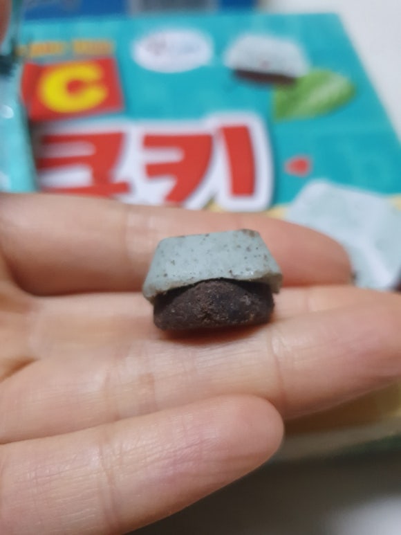 민트초코충주 이미지