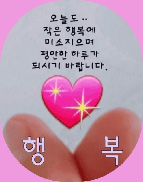 따삐오롯데 이미지