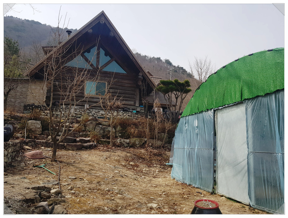 원동매화미나리집 이미지