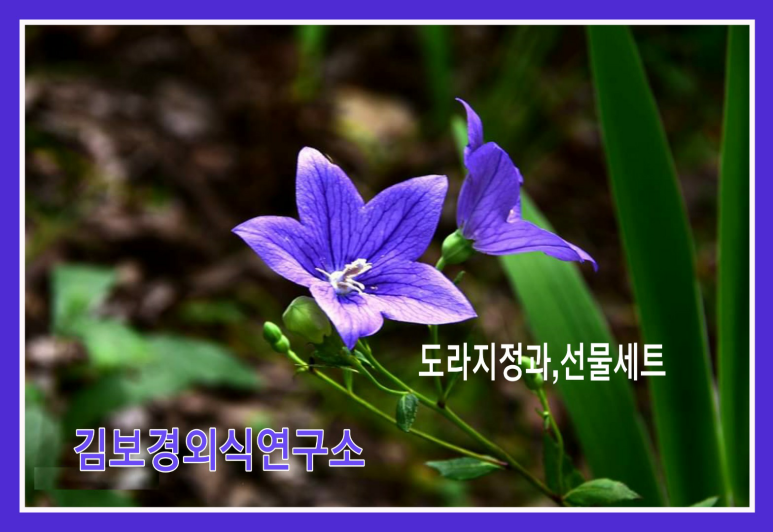 김보경외식연구소 이미지