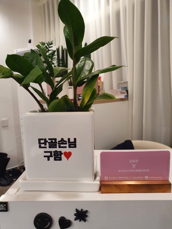 카일리헤어샵 이미지