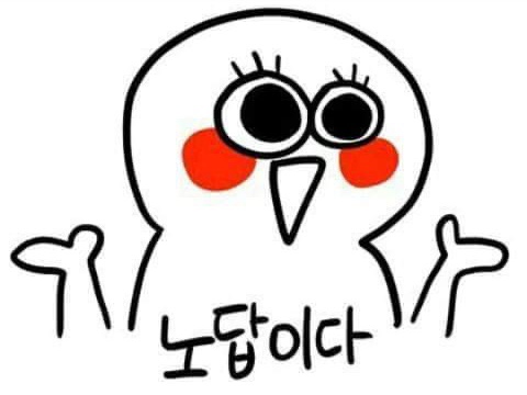 플로랄데이즈 이미지