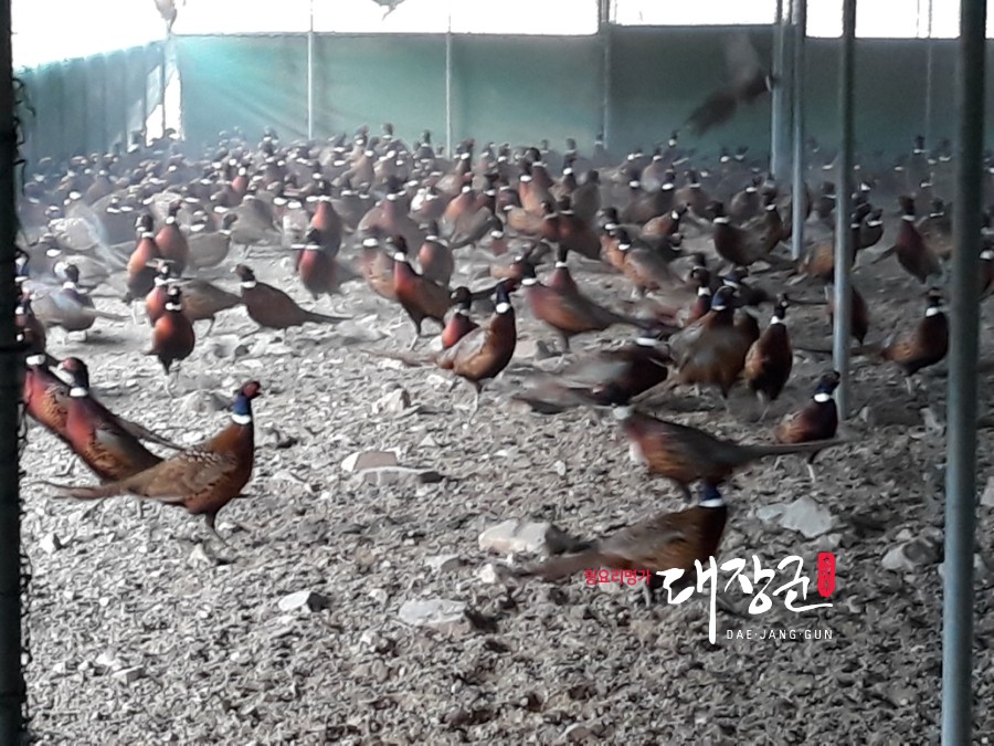 대장군전통식품 이미지