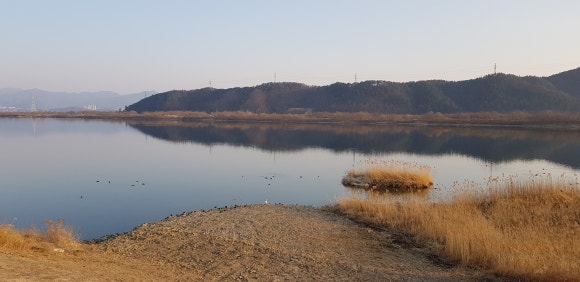 낙동강어탕매운탕 이미지
