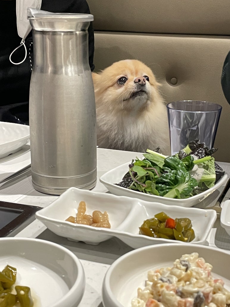 한우관 이미지