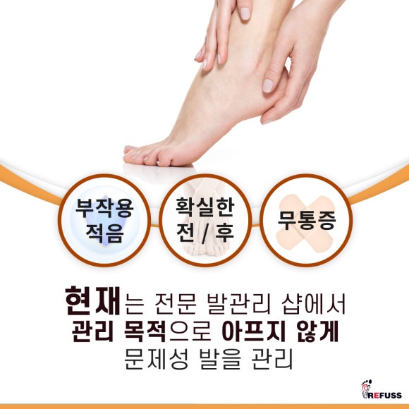 레푸스전주 이미지