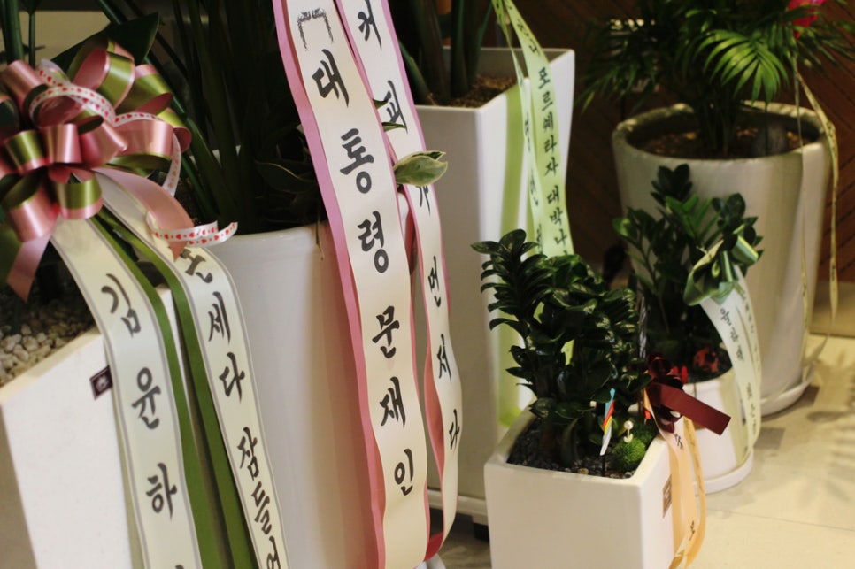 댄싱컵범일점 이미지