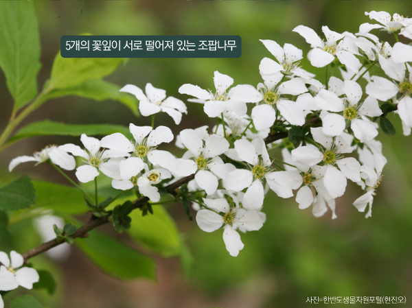 이팝인테리어 이미지
