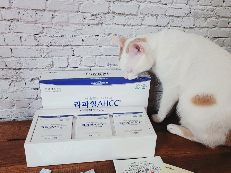 라파힐 이미지
