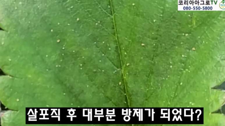풍성농약사 이미지
