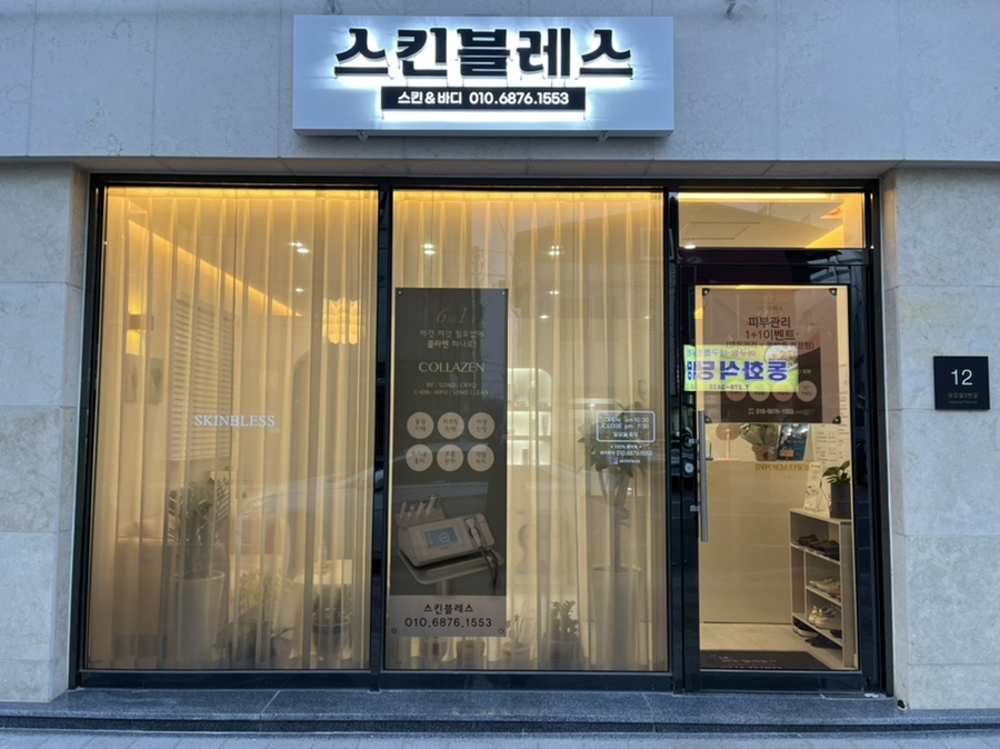 스킨 블레스 이미지