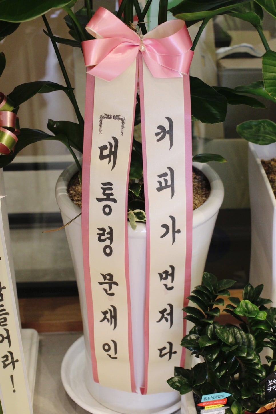댄싱컵범일점 이미지