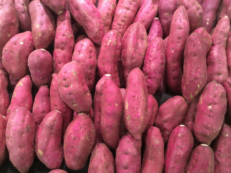 과실작물 재배업 이미지