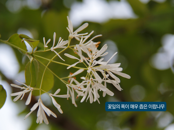 이팝인테리어 이미지