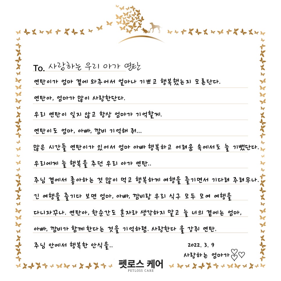 무지개케어 이미지