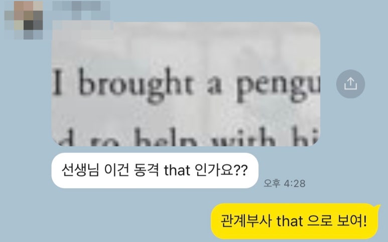 올쌤의영어생각 이미지
