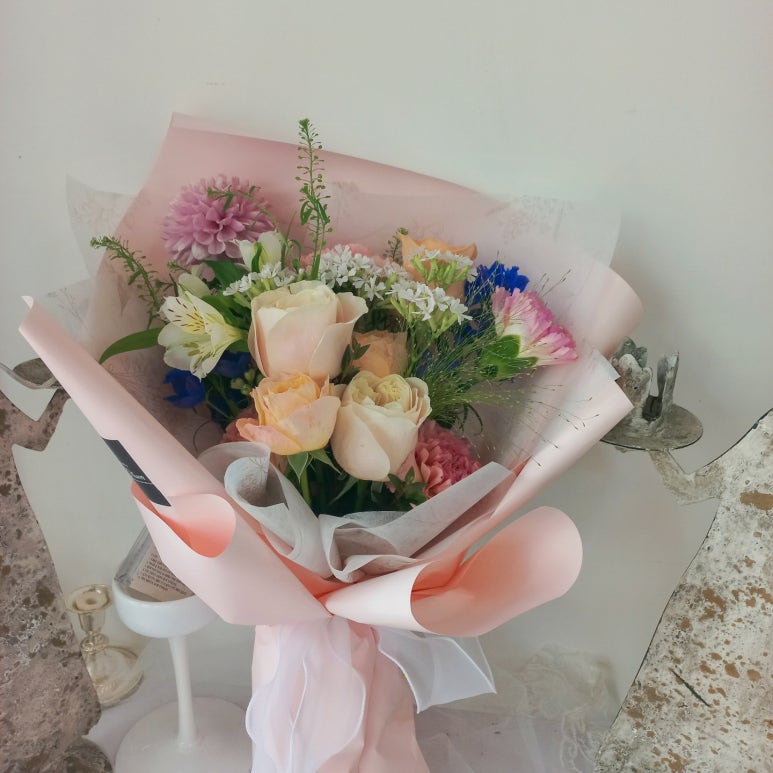 엘라임 이미지