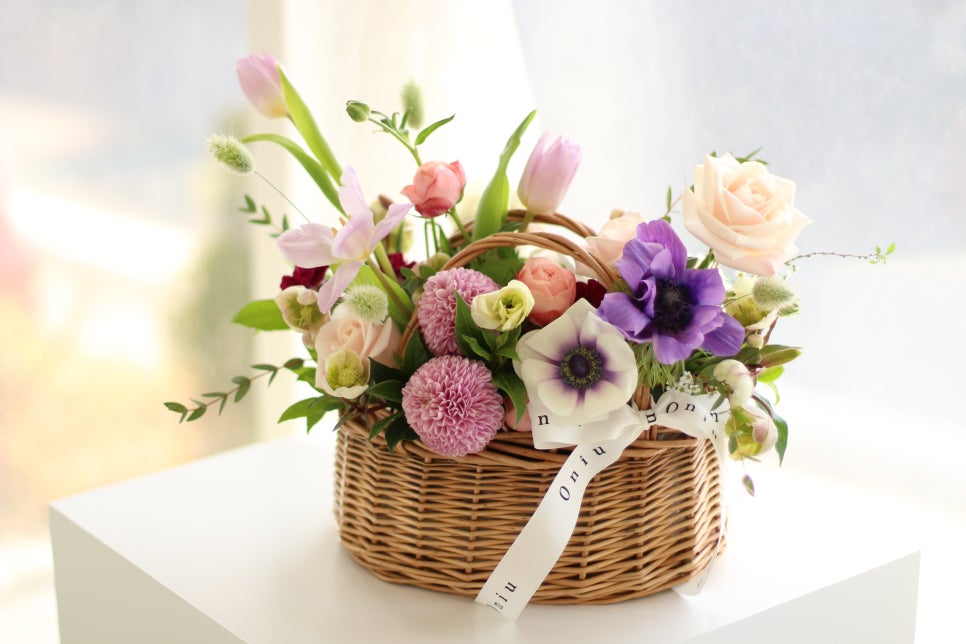 온니유 플라워(Oniu Flower) 이미지