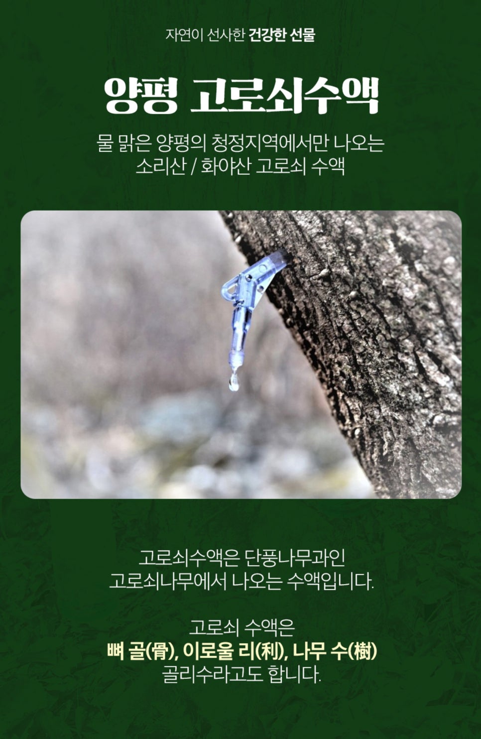 화야산작목반 이미지