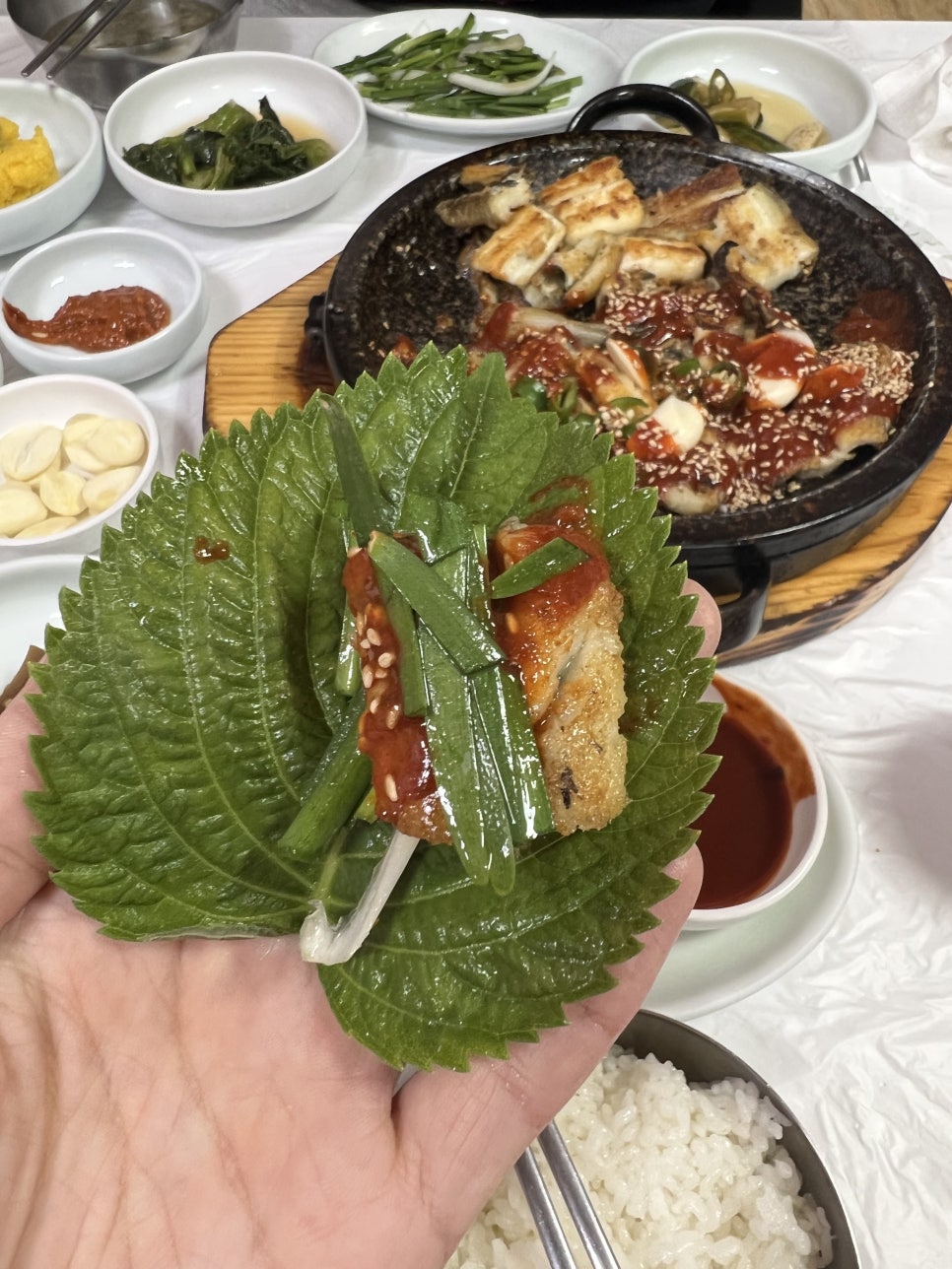 달반늘 이미지