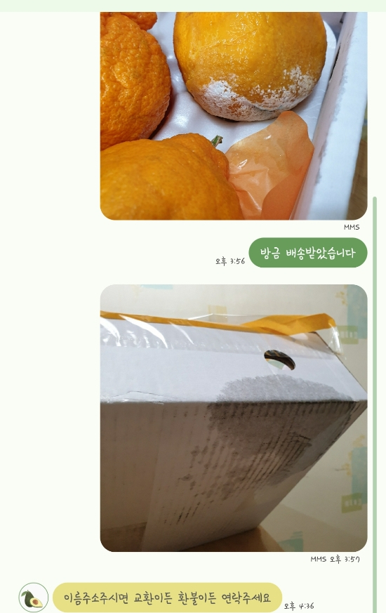 탐찬 이미지