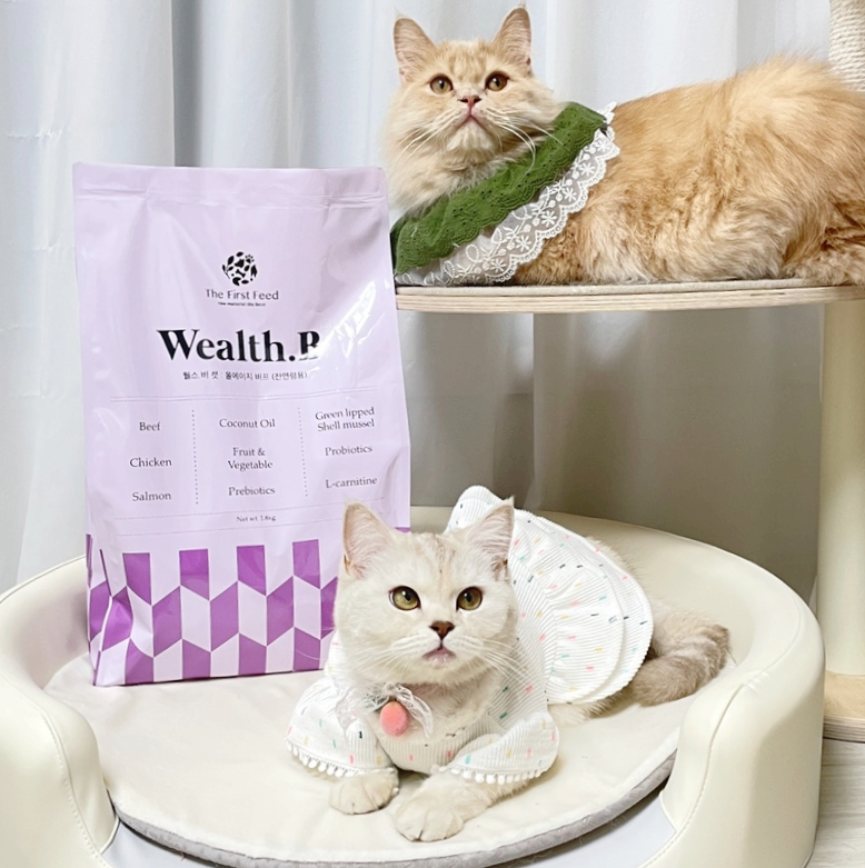 휴먼웰스 이미지