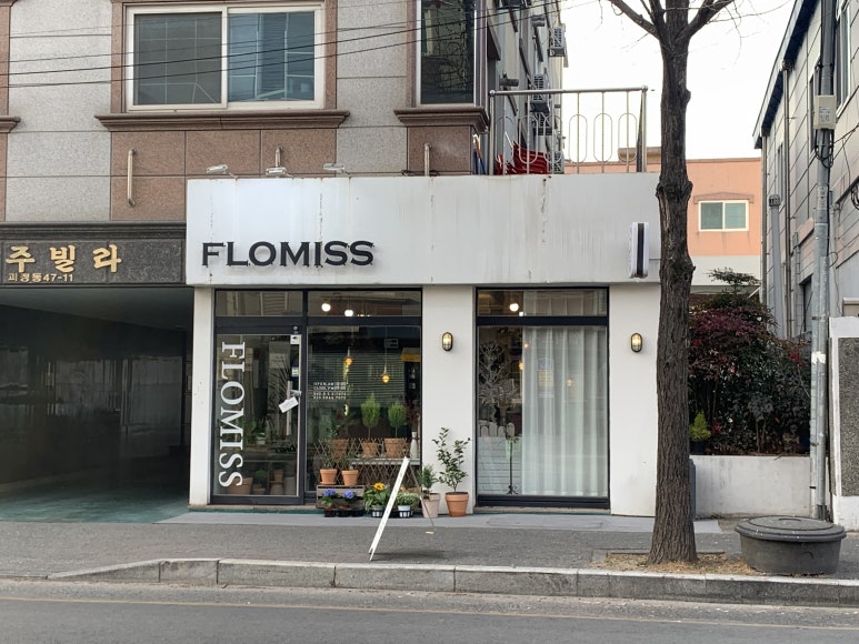 써니플로 이미지