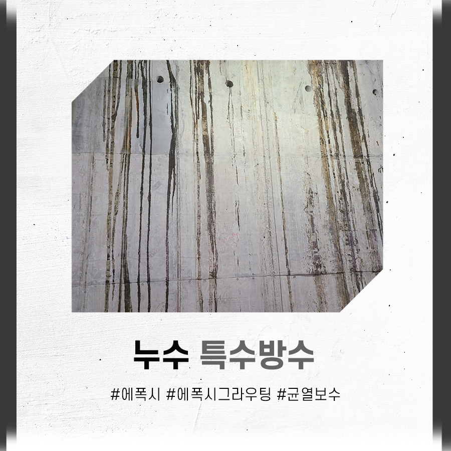 디엔에스산업개발 이미지