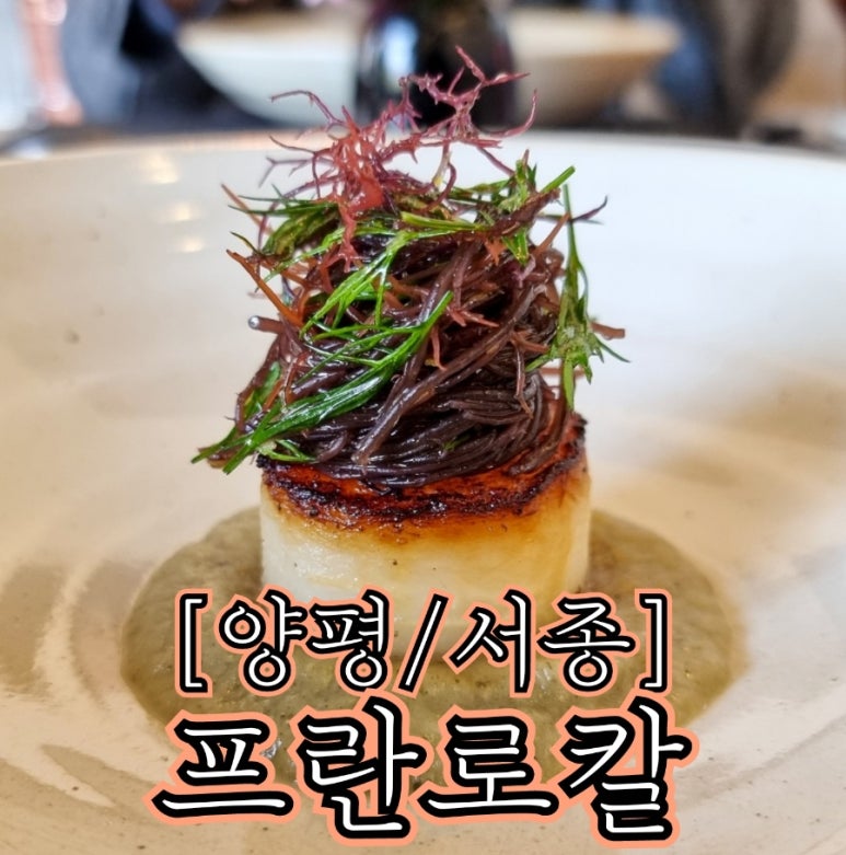 프롬프란 이미지