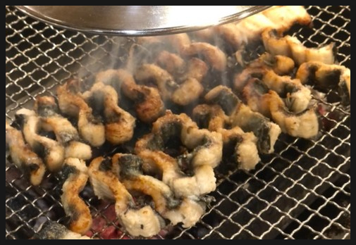 황토민물장어 이미지