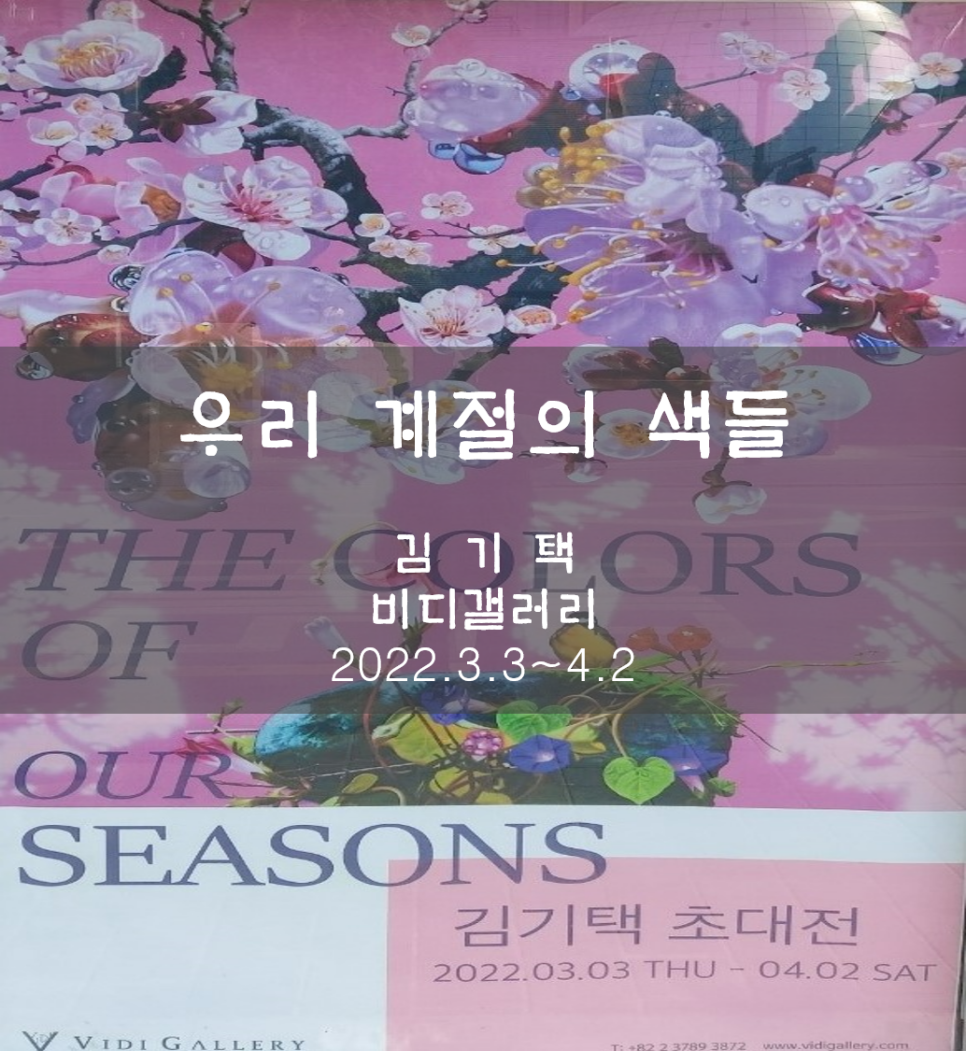 비디갤러리 이미지