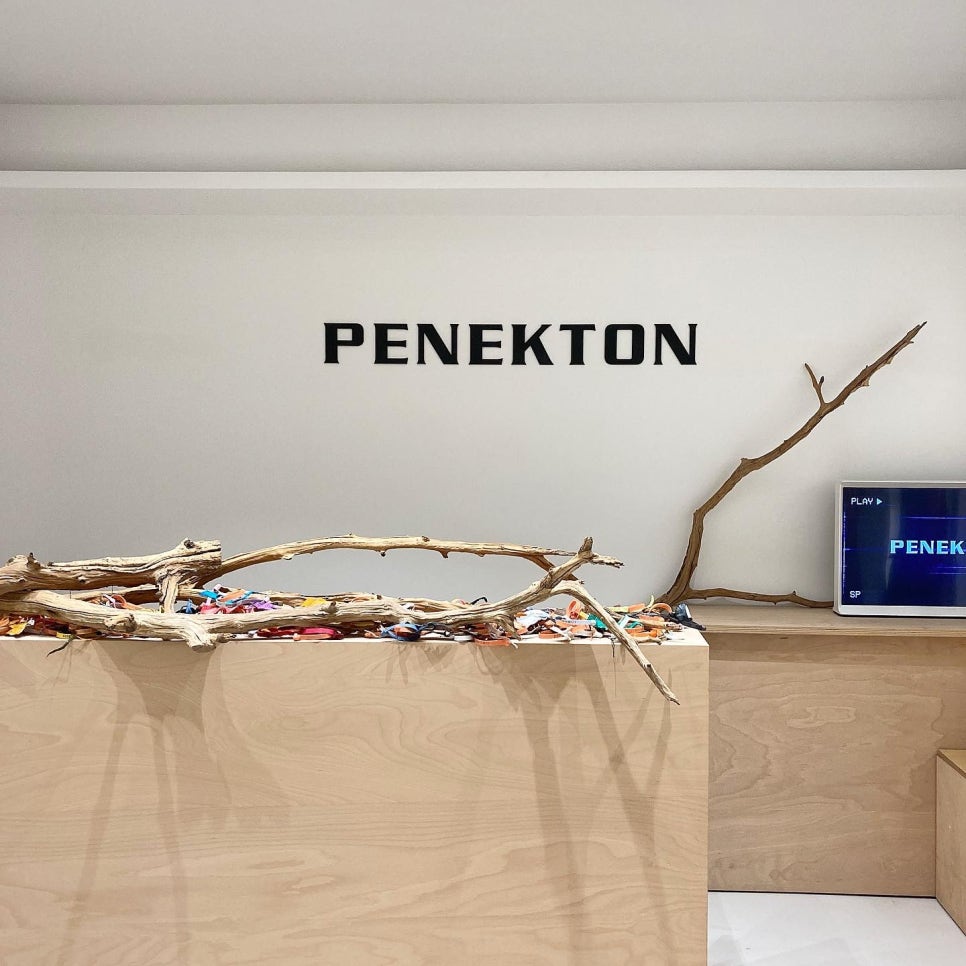 페넥톤(PENEKTON) 이미지