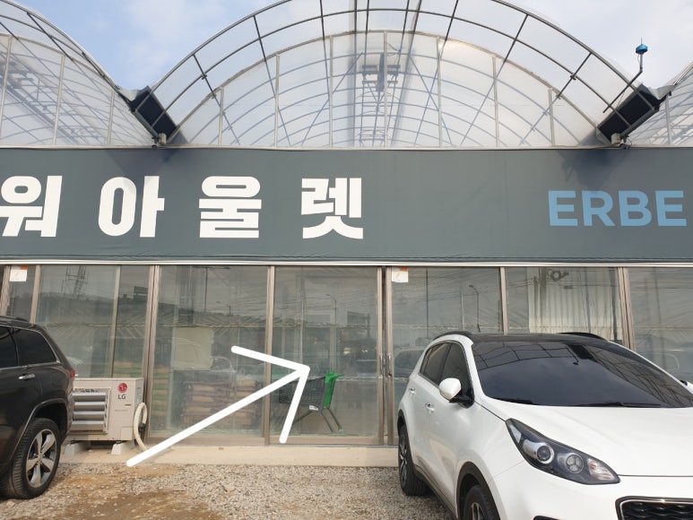 쎄드데플란타 이미지