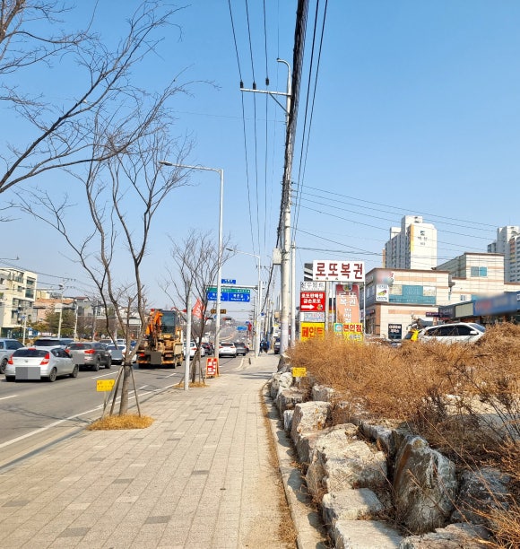 금손복권 이미지