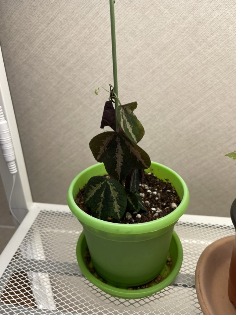 거목상사 이미지