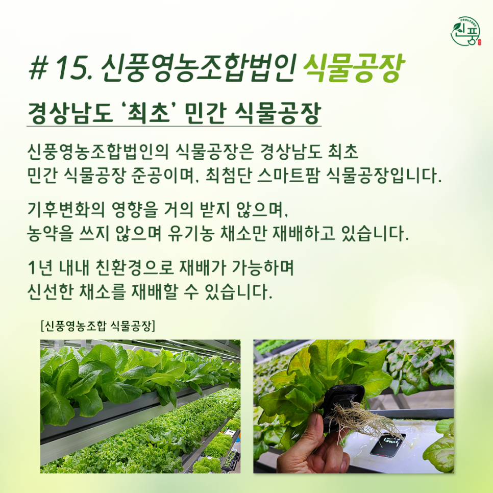 신풍영농조합법인 이미지