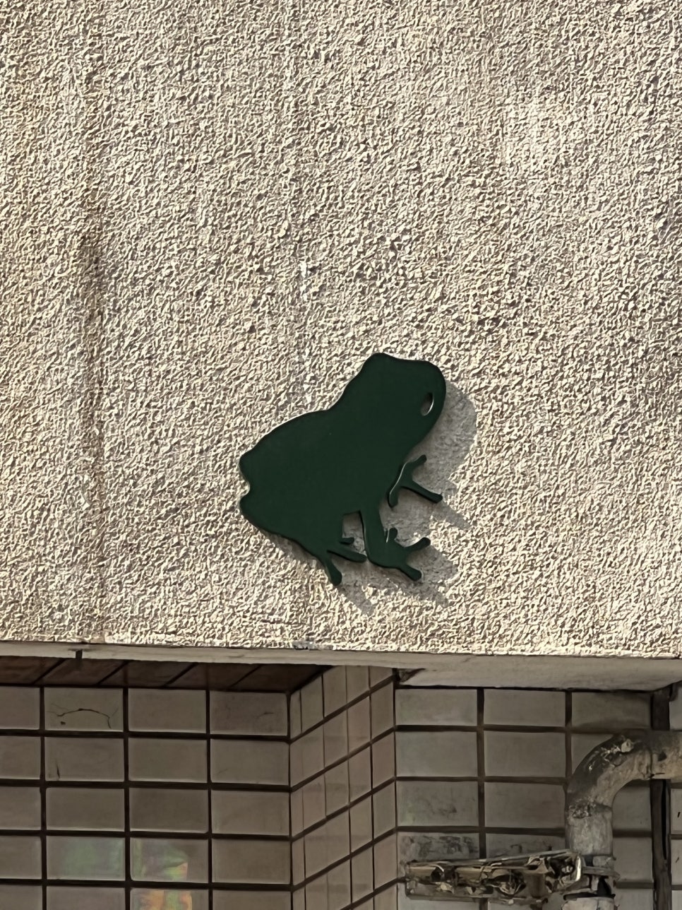 Frog(프로그) 이미지