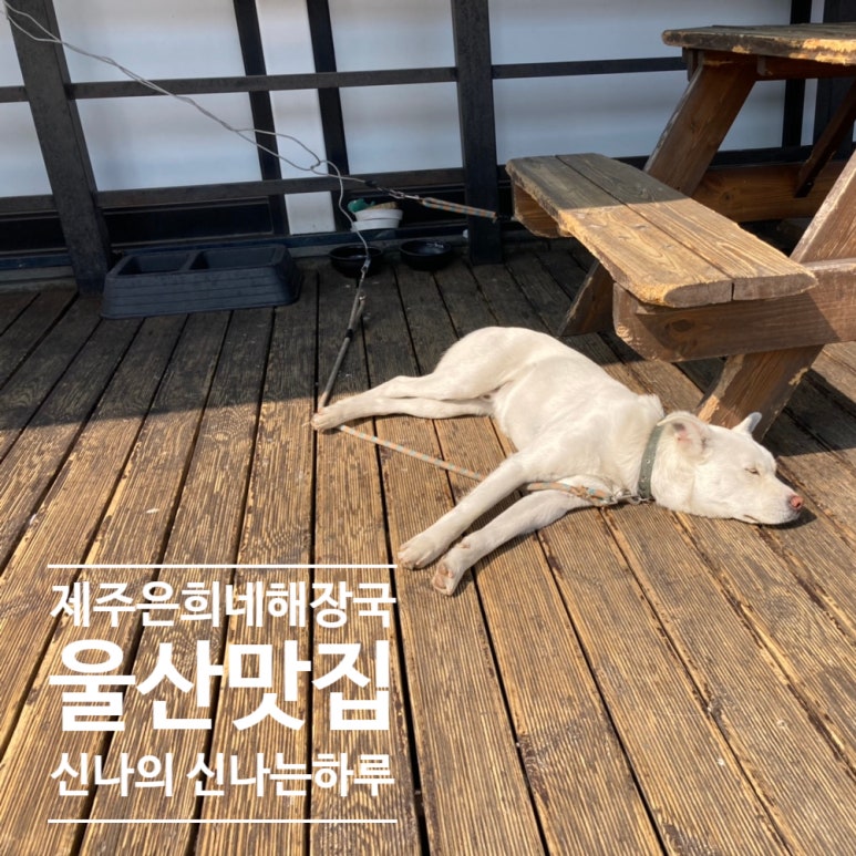 제주은희네해장국 동구점 이미지
