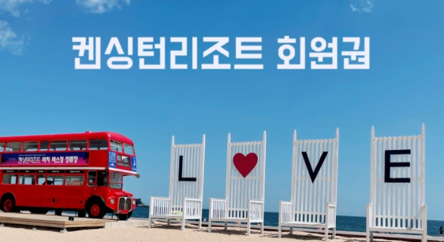 돈사미 이미지