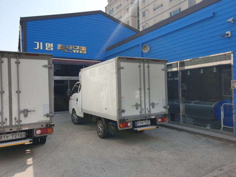 기영축산 이미지