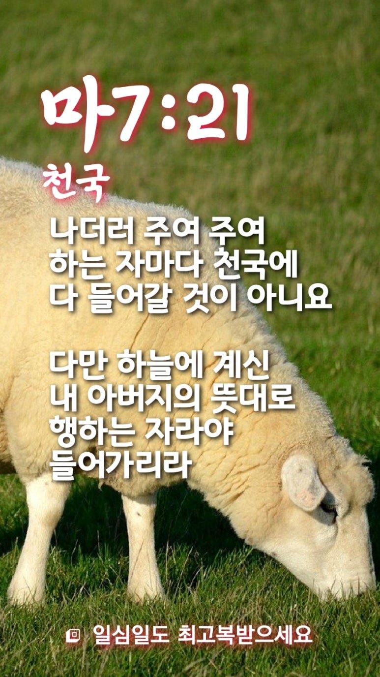 하늘과열매(주) 이미지