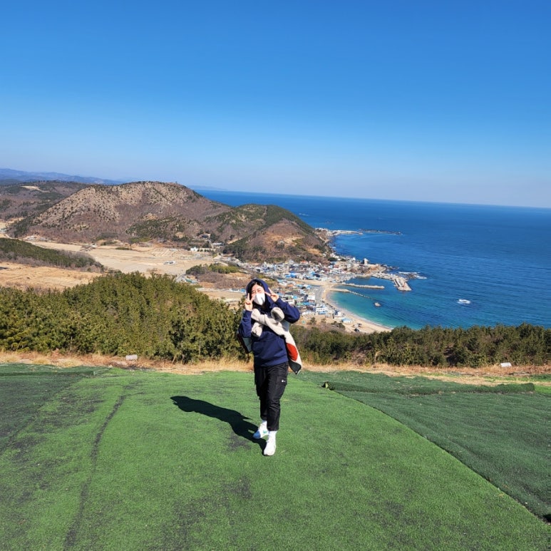 차차차투어 이미지