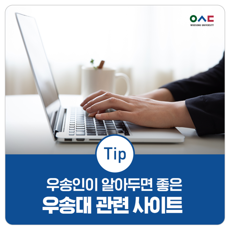 송인정보 이미지