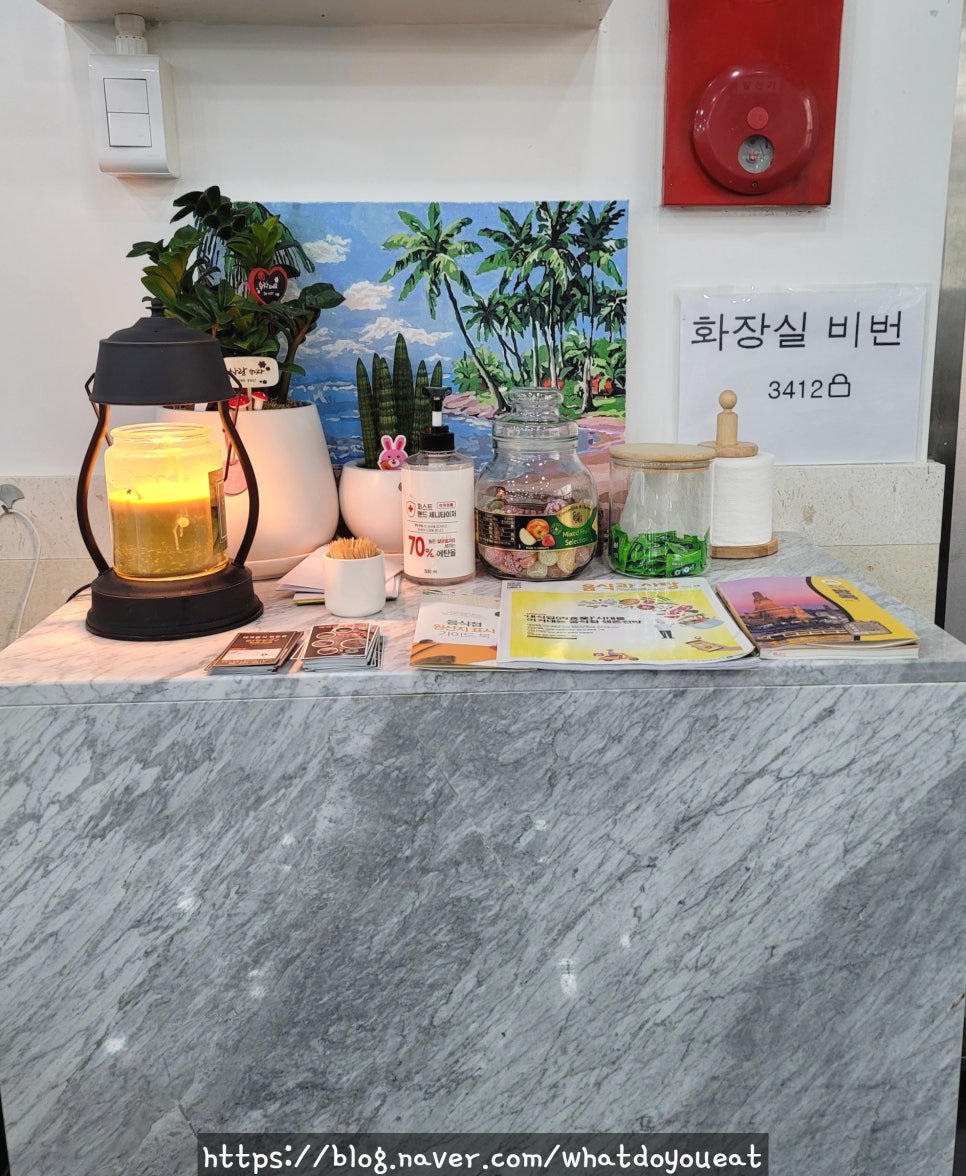 알로이 짱 이미지