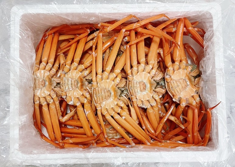 경대수산 이미지