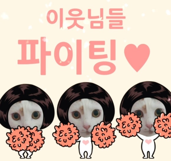 모다컴퍼니 이미지
