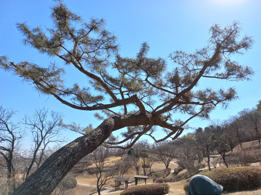 성도전업 이미지