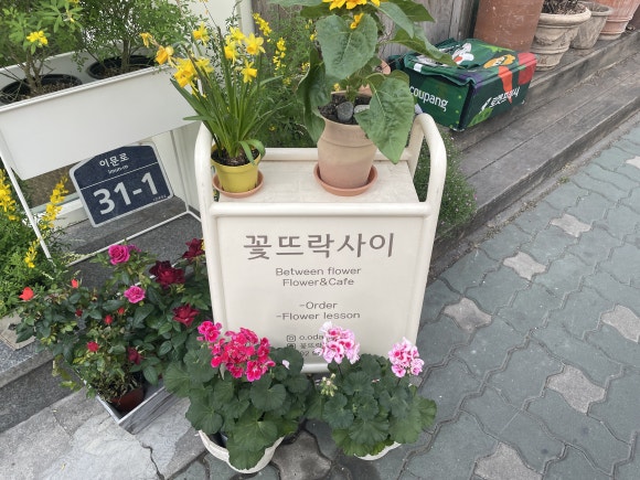 꽃뜨락사이 이미지