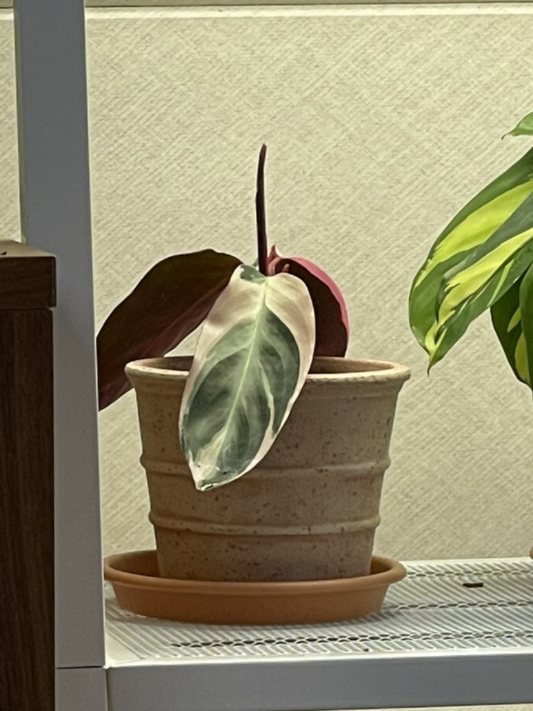 거목상사 이미지